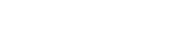 Xint